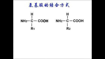 《氨基酸分子结构及其脱水缩合》高一生物-子洲县三中-郭瑜琼-陕西省首届微课大赛