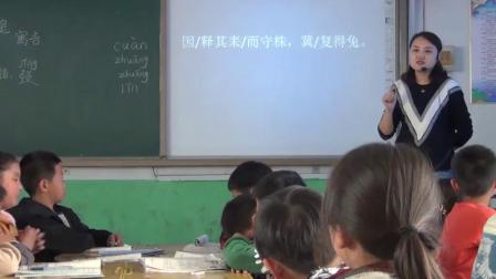 《5 守株待兔》部编版小学语文三下教学视频-河北邢台市_清河县-张璐