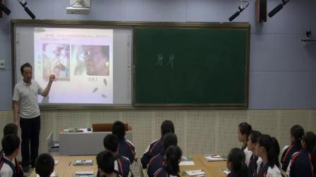 人教2011课标版生物七下-4.3.1《呼吸道对空气的处理》教学视频实录-欧启行