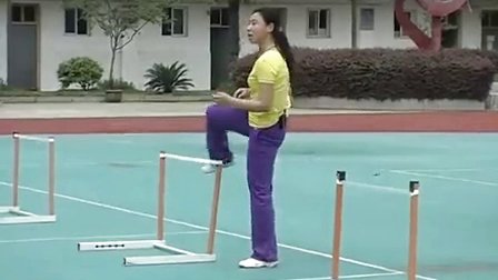 高中体育《跨栏跑--栏间跑节奏》湖北省,2014学年度部级优课评选入围优质课教学视频