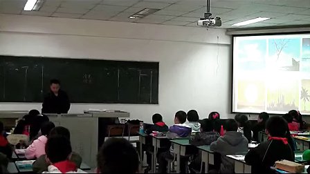 四年级美术人美版美术八册《艳丽的大公鸡》_课堂实录与教师说课