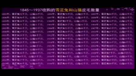 《数据背后的故事山猫和雪足兔》小学数学五年级-第二届全国小学数学研讨观摩会-汤卫红