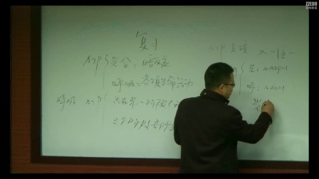 《光合作用和细胞呼吸》高三生物-登封市嵩阳高：刘军雷