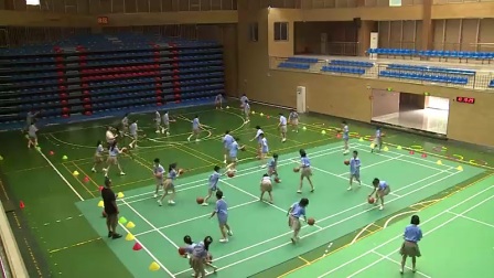 小学体育人教版五六年级《5.运球技术与教学比赛》湖南胡学武