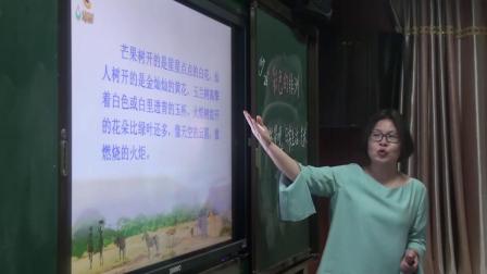 《28-　彩色的非洲》人教版小学语文五下课堂实录-湖南湘潭市-宾咏荷