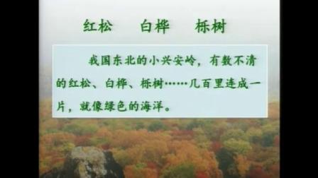 《美丽的小兴安岭》小学语文三年级上册优质课观摩教学视频-王林波