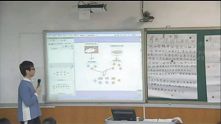 高一生物《动物细胞培养与单克隆抗体》丁雪芬