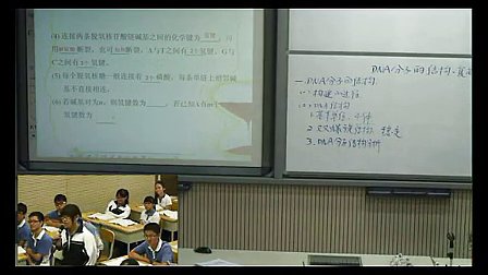 DNA分子结构与复制高中高三生物深圳市第二高级中学王颖