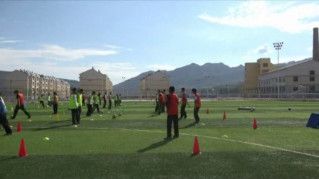 《足球-脚内侧踢球》人教版初一体育与健康，高学平