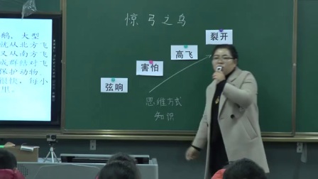 《惊弓之鸟》北师大版品德与生活三上-主讲-王峻