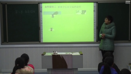 《社会行为》初二生物-郑州六十一中：王艳颖