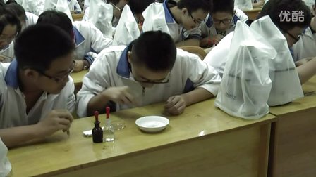 2015四川优质课《低温诱导植物染色体数目的变化》人教版高一生物，四川省成都市第八中学：祝琳娜