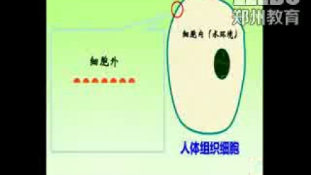 《生物膜的流动镶嵌模型》高一生物-郑州回中：唐宁