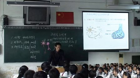 陕西省示范优质课《神经调节2-2》高一生物，扶风县扶风高中：白胜利