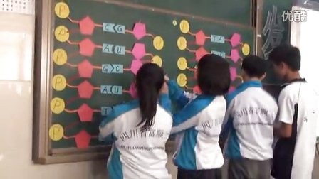 2015四川优质课《基因指导蛋白质的合成》人教版高二生物，富顺第二中学校：徐敏