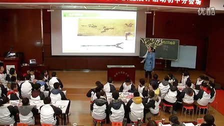 初中美术人教版七年级第2课《春天的畅想》湖北张晶晶