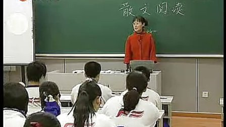 高三语文优质课展示《散文阅读-“闲”笔不“闲”》实录说课__宋老师