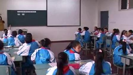 《一起采集民族之花》优质课（北师大版品德与社会五上，成都：张霞）