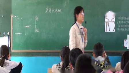 《7 鹿角和鹿腿》部编版小学语文三下教学视频-河北沧州市_沧县-潘振梅