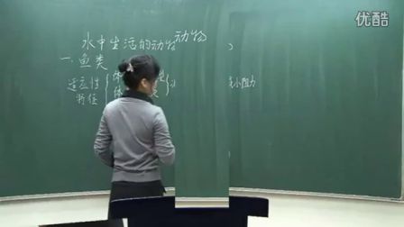 初中生物人教版八年级《水中生活的动物》名师微型课 北京谭荣誉