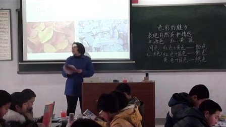 初中美术人教版七年级第1课《色彩的魅力》河北马海英