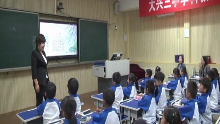 《小池》部编版小学语文一下课堂实录-北京_大兴区-石慧