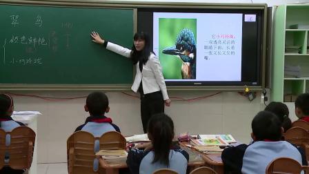 《5　翠鸟》人教版小学语文三下课堂实录-北京_海淀区-王洪学