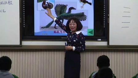 初中生物人教版八下《7.3 生物进化的历程》甘肃陈金梅