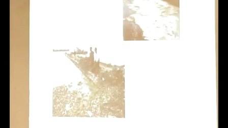 《保护我们共同的家园》教学课例（人教版高二生物，深圳外国语学校：王大庆）