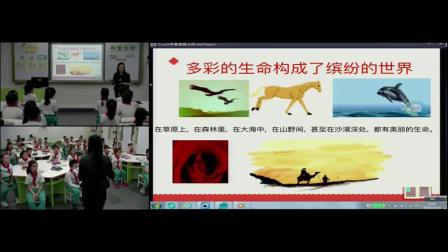 《口语交际-热爱生命》人教版小学语文四下课堂实录-广东广州市_天河区-钟芳