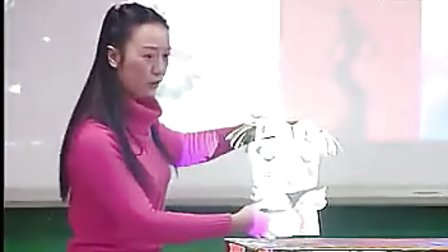 《光的魅力》课堂实录（人教版第八册）