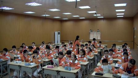 《14　再见了，亲人》人教版小学语文五下课堂实录-广西贵港市_平南县-潘秋群