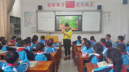 小学道德与法治部编版一下《第6课 花儿草儿真美丽》贵州郭政琴