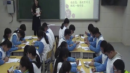 《装在套子里的人》2016人教版语文高二，郑州四十七中高中部：代凝慧