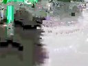 (高中)体育优质课视频录像《跨栏跑过栏技术》执教师：李国栋