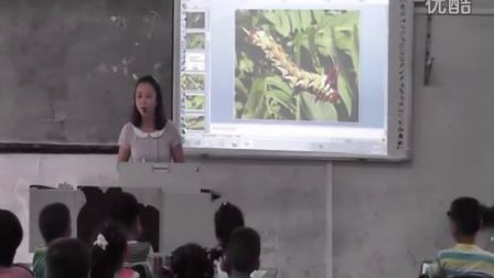 《奇妙的爬行》微课评选（人教版美术一下，潆溪小学：杨柳艳）