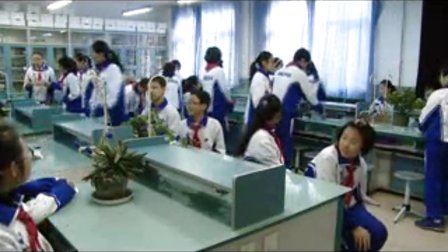 高二上《本草纲目》北师大版语文教学视频-北京京源学校 金红玲