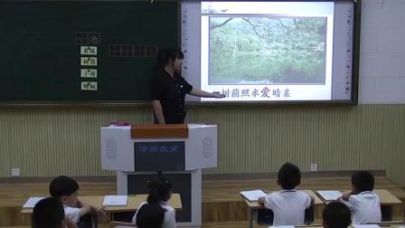 《小池》部编版小学语文一下课堂实录-天津_津南区-潘婷