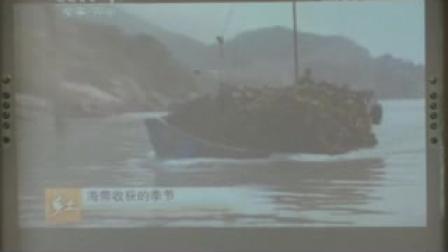 《原生生物的主要类群》课堂实录（北师大版生物八下，北京四中：段玉佩）