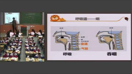 人教2011课标版生物七下-4.3.1《呼吸道对空气的处理》教学视频实录-林青