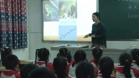 2015四川优质课《秋天在哪里》小学品德人教版二上，自贡市贡井区蓆草田小学：罗玲
