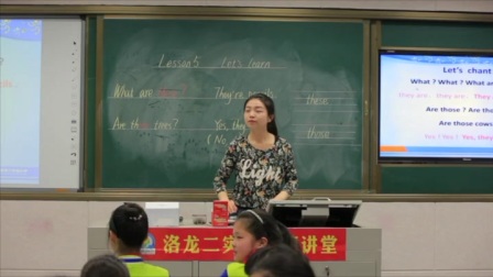 科普版小学英语四下《Lesson 5 What are these》河南高鑫洛