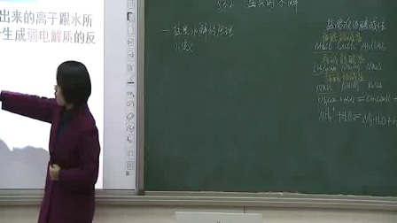 《盐类的水解》人教版高二化学-郑州扶轮外语学校：陈亚轲