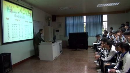 《小提琴协奏曲〈梁祝〉》教学课例（人教版九年级音乐，罗湖中学：王德亮）