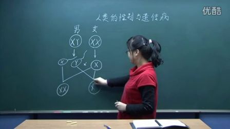 初中生物人教版八年级《人类的性别与遗传病》名师微型课  北京谭荣誉