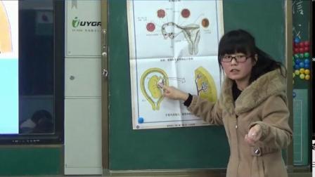 人教2011课标版生物七下-4.1.2《人的生殖》教学视频实录-艾雯雯