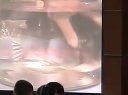 金鱼 科教版_小学三年级科学优质课