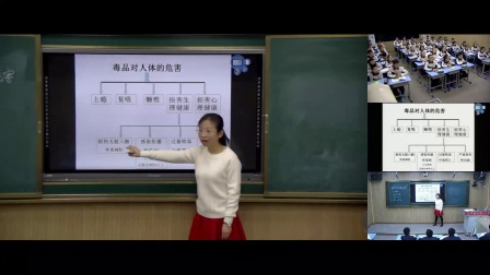 初中生物人教版八下《8.3 选择健康的生活方式》甘肃温芳瑜
