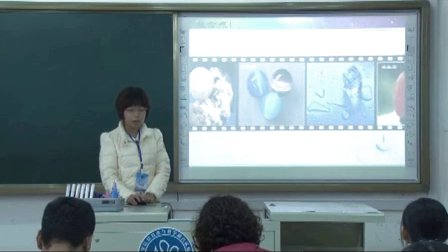 高中化学说课视频-离子键-教学大赛视频