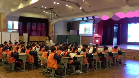 《乡下人家》部编版小学语文四年级下册-岳麓区D组语文教师素养大赛-颜津